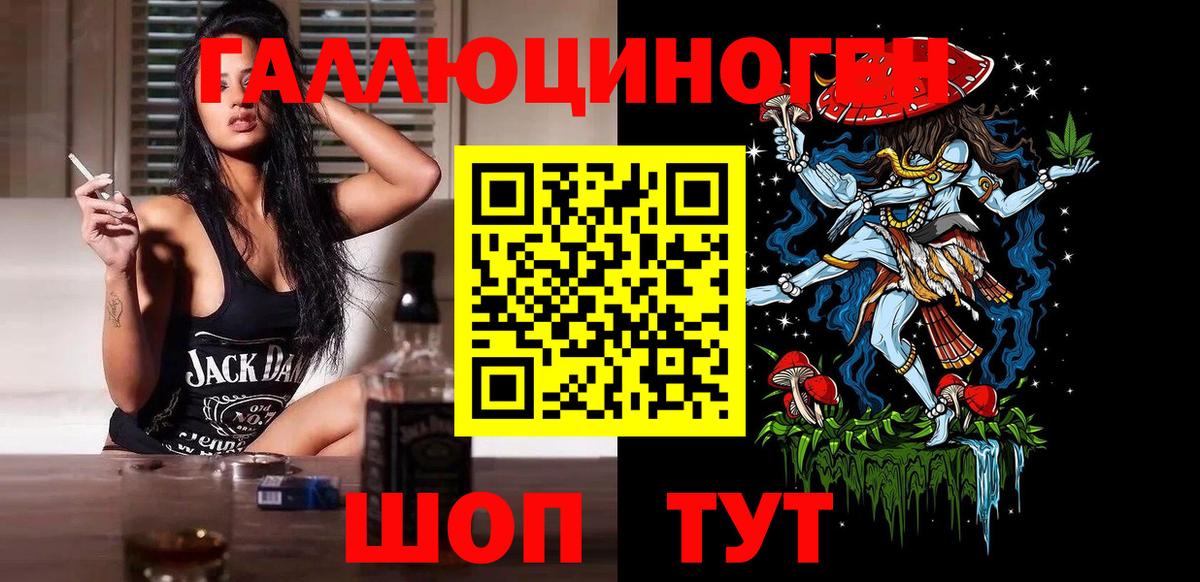 Сертолово  Псилоцибиновые грибы Psilocybe  Вход с VPN  наркота  Галлюциногенные грибы мицелий 